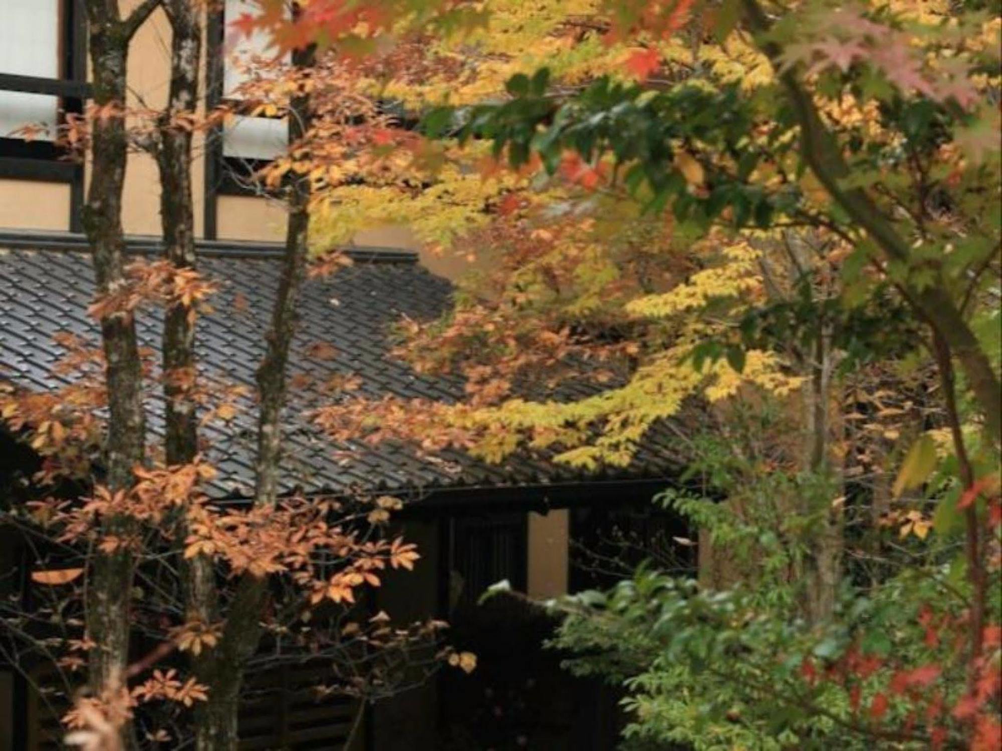 Ryokan Wakaba Minamioguni Bagian luar foto